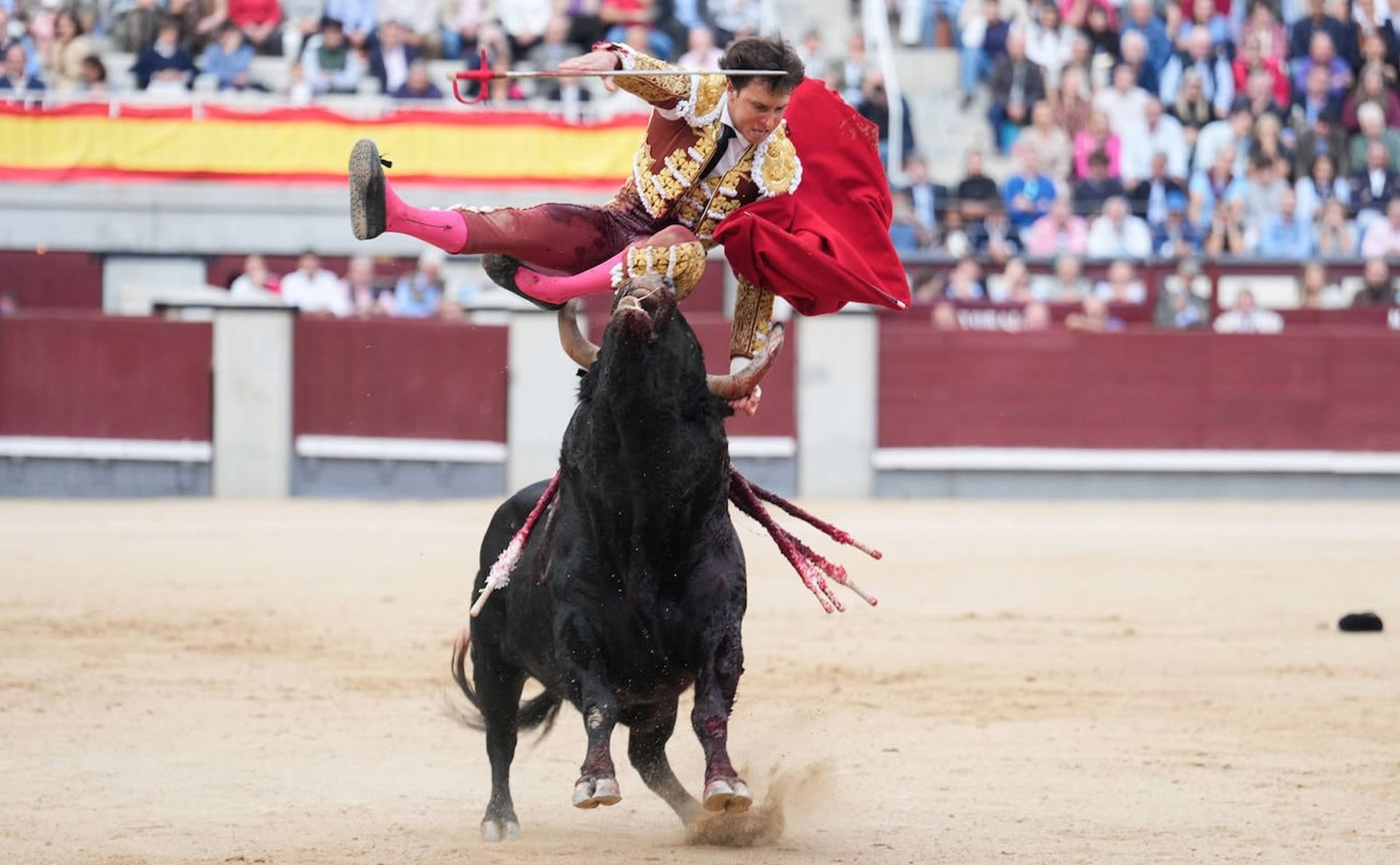 El toro, lanzando al aire a Roca Rey | Imagen: Agencia EFE